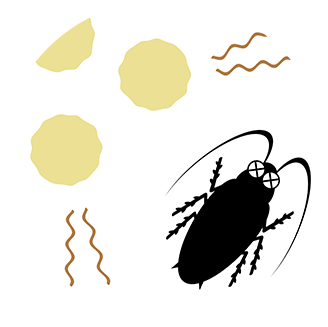 大分県では条例で定期的な害虫駆除が義務付けられています!