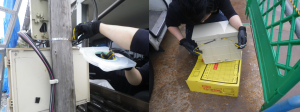 レンタル_防犯カメラ_すぐみるクン_20